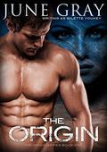 The Origin (The Origin #1) by Wilette Youkey