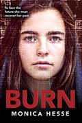 Burn (Stray #2) by Monica Hesse