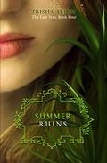 Summer Ruins (The Last Year #4) by Trisha Leigh