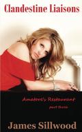 Clandestine Liaisons (Amatore's Restaurant #3) by James Sillwood