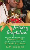 Holiday Temptation by Donna Hill