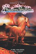 Fire Maiden (Phantom Stallion: Wild Horse Island #5) by Terri Farley