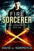 Fire Sorcerer (The Sentinels #1) by David J. Normoyle