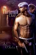 The Thirteenth Child (Section Thirteen Case Files #1) by J.L. O'Faolain