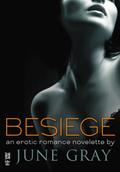 Besiege by June Gray