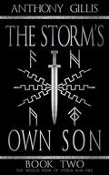 The Storm's Own Son: Book Two (The Storm And Fire Series #2) by Anthony Gillis