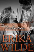 The Seduction by Janelle Denison, Erika Wilde