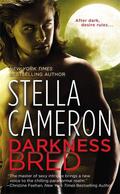 Darkness Bred (Chimney Rock #2) by Stella Cameron