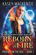 Reborn in Fire (Untamed Elements #1) by Kasey MacKenzie