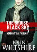 The Bruise-Black Sky by John Wiltshire