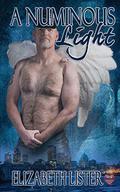A Numinous Light (The James Lucas Trilogy #3) by Elizabeth Lister