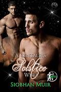 A Centaur's Solstice Wish (Rifts #2) by Siobhan Muir