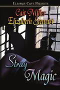 Stray Magic by Cait Miller