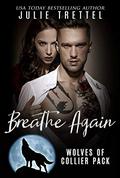 Breathe Again by Julie Trettel