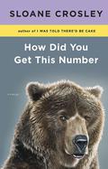 How Did You Get This Number: Essays by Sloane Crosley
