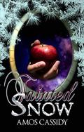 Tainted Snow (Tales from Beyond the Veil #4) by Amos Cassidy