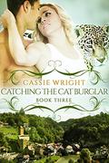 Catching the Cat Burglar (Honeycomb Falls #3) by Cassie Wright