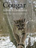 Cougar: Ecology and Conservation by Alan Rabinowitz