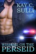 Wishing on the Perseid by Kay C. Sulli