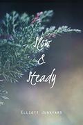 Slow & Steady (Heartlines #2) by Elliott Junkyard