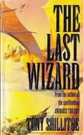 The Last Wizard by Tony Shillitoe