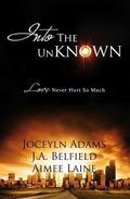 Into The Unknown (Holloway Pack #1.5) by Aimee Laine