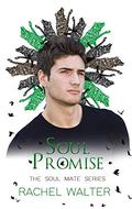 Soul Promise (Soul Mate #2) by Rachel Walter