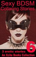 Sexy BDSM Collaring Stories - Volume Six (Sexy BDSM Collaring Stories #6) by Dominic Santi