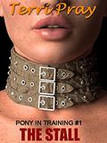 The Stall (Pony in Training #1) by Terri Pray