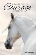 A Horse Called Courage  (Adventure)  (Pageturners) by Anne Schraff