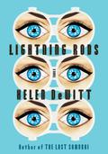 Lightning Rods by Helen DeWitt