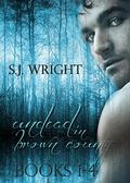 Undead in Brown County Boxed Set (Undead in Brown County #1-4) by S.J. Wright