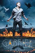 Gabriel (The Styclar Saga #2) by Nikki Kelly