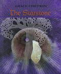The Starstone (Gom #4) by Grace Chetwin