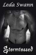 Stormtossed by Leda Swann