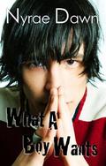 What a Boy Wants by Nyrae Dawn