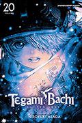 Tegami Bachi, Vol. 20 (テガミバチ / Tegami Bachi #20) by Hiroyuki Asada