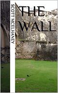 The Wall by Scott McElhaney