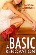A Basic Renovation by Sandra Antonelli