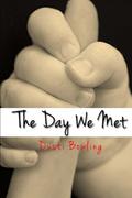 The Day We Met by Dusti Bowling