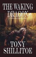 The Waking Dragon: Andrakis Book One (Andrakis #1) by Tony Shillitoe