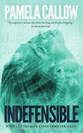 Indefensible by Pamela Callow
