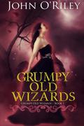 Grumpy Old Wizards (Grumpy Old Wizards #1) by John O'Riley