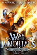 Divine Madness (Way of the Immortals #2) by Neil Hellegers
