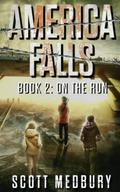 America Falls: On the Run by Scott Medbury