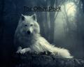 The Other Pack by Erica Stanciu