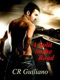 A Split in the Road (Vampire Wars #3) by C.R. Guiliano
