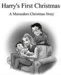 Harry's First Christmas by G. Norman Lippert