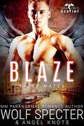 Blaze (Dragon's Destiny: Fated Mates #4) by Angel Knots