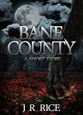 Bane County: A Short Story (Bane County #3.5) by J.R. Rice